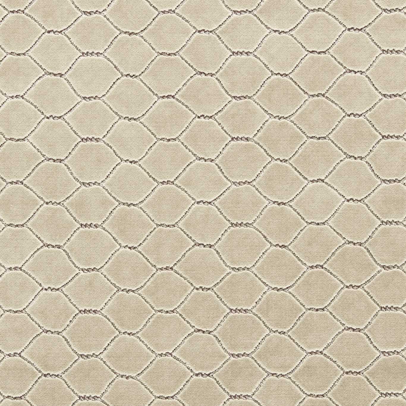 Sanderson Faraday Velvet