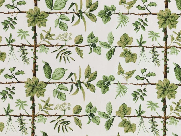 Pierre Frey Espalier