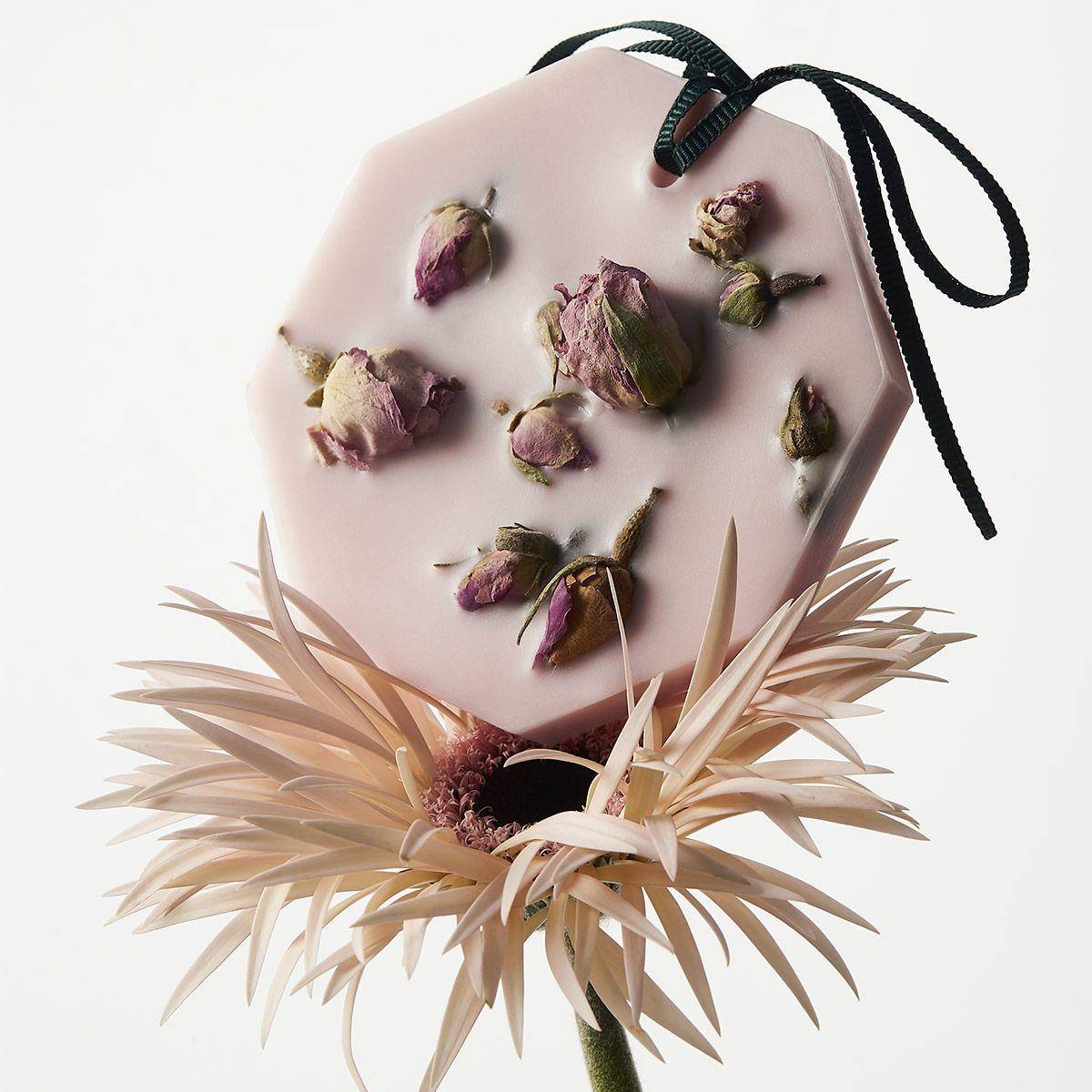 Carrière Frères La Rose aime la Menthe Carrière Frères La Rose aime la Menthe