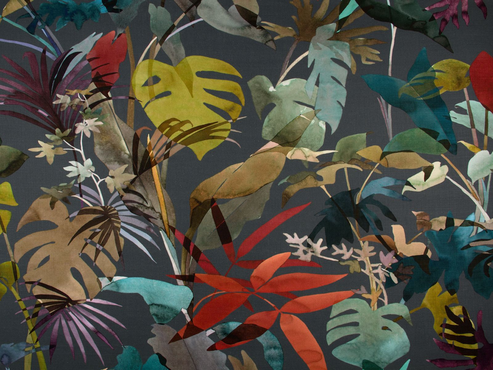 Zimmer + Rohde Paradiso