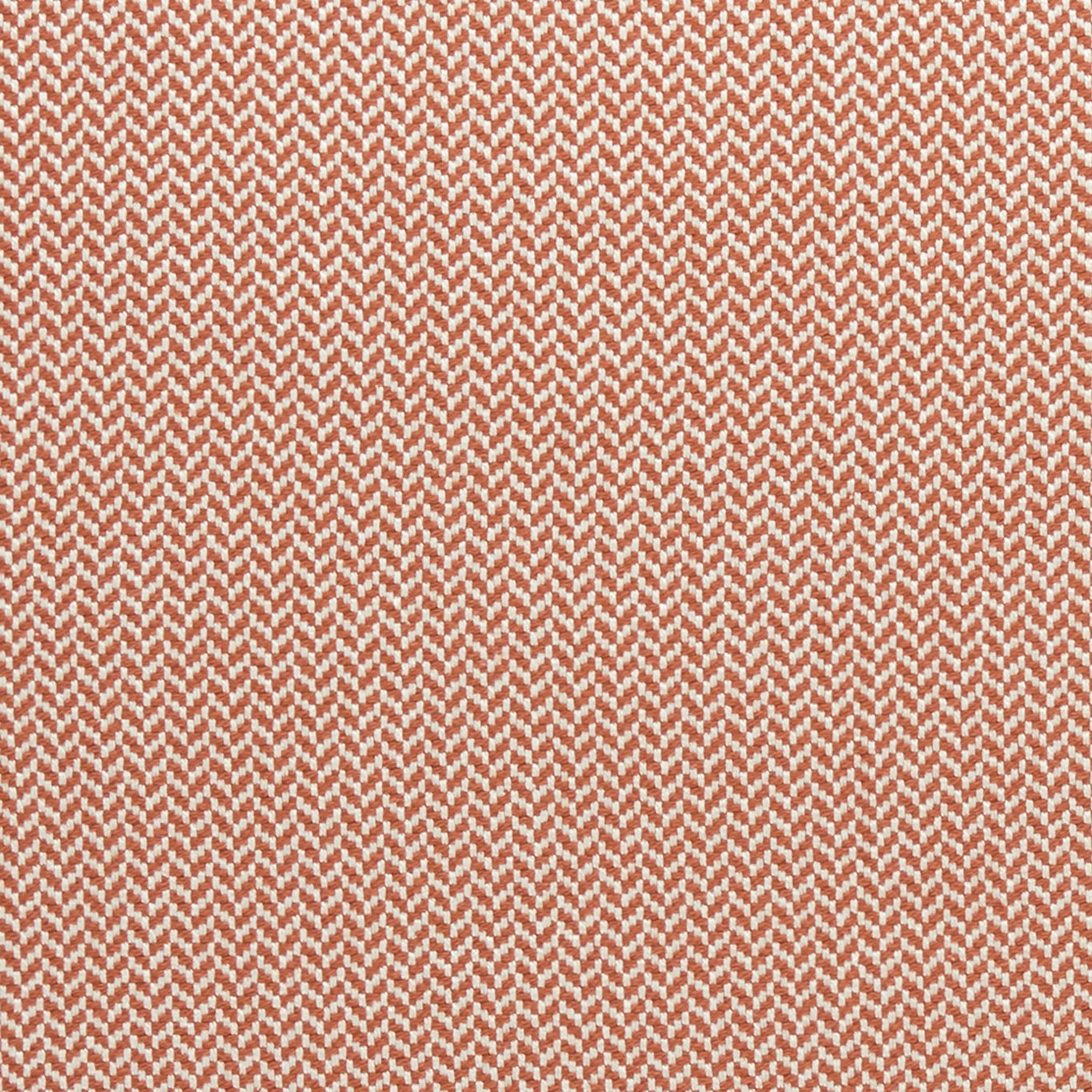 Clarke & Clarke Zalika