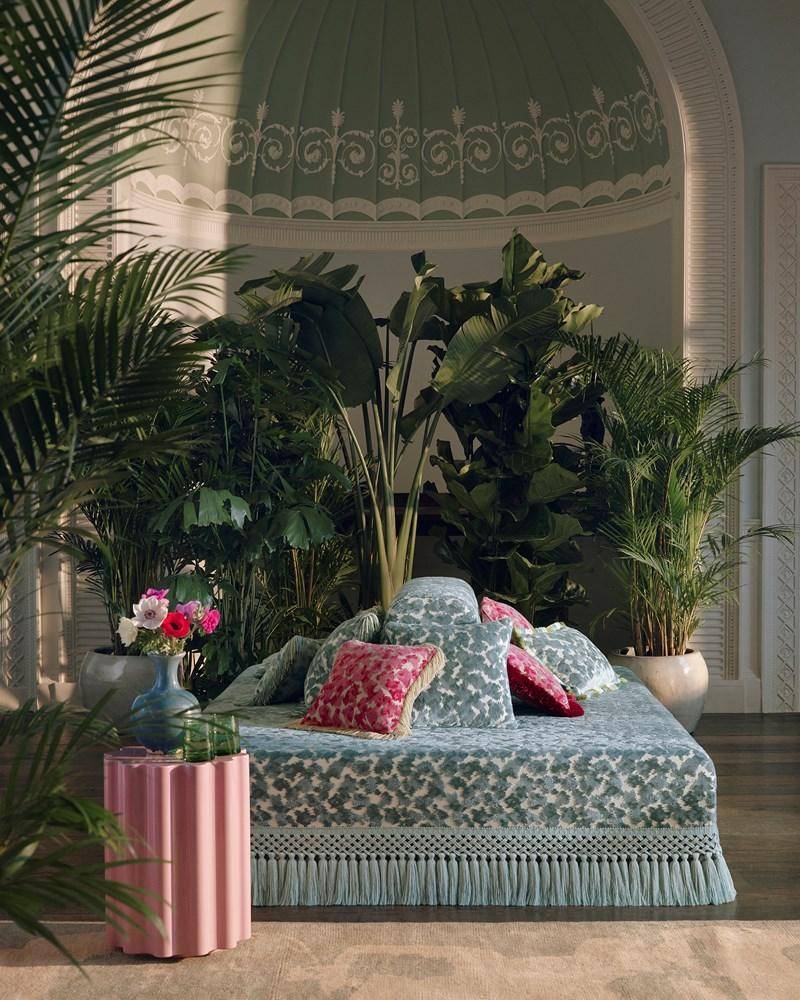 Manuel Canovas Java
