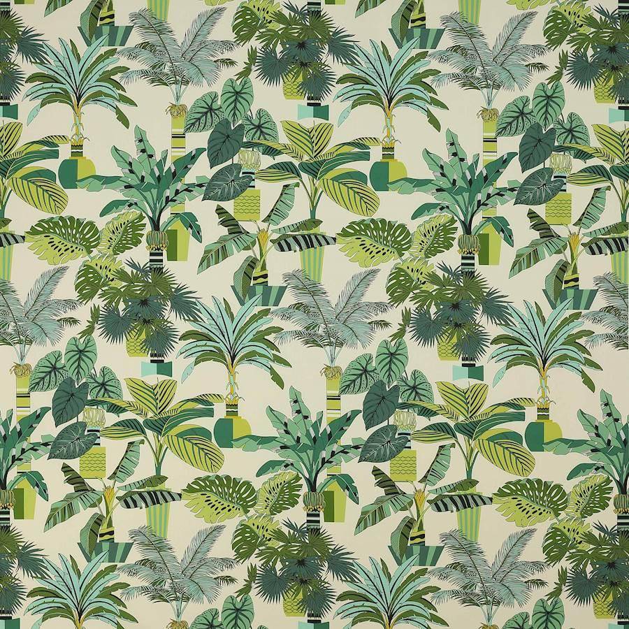 Manuel Canovas Florida  