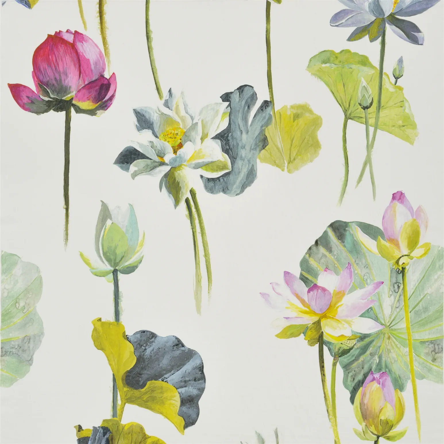 Designer Guild Nymphaea | Camellia | FDG2472/01