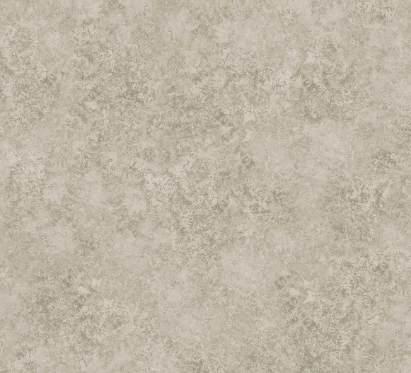 Warm Metallic Gilver