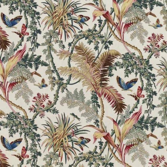 Braquenie Papillons exotiques - cretonne 