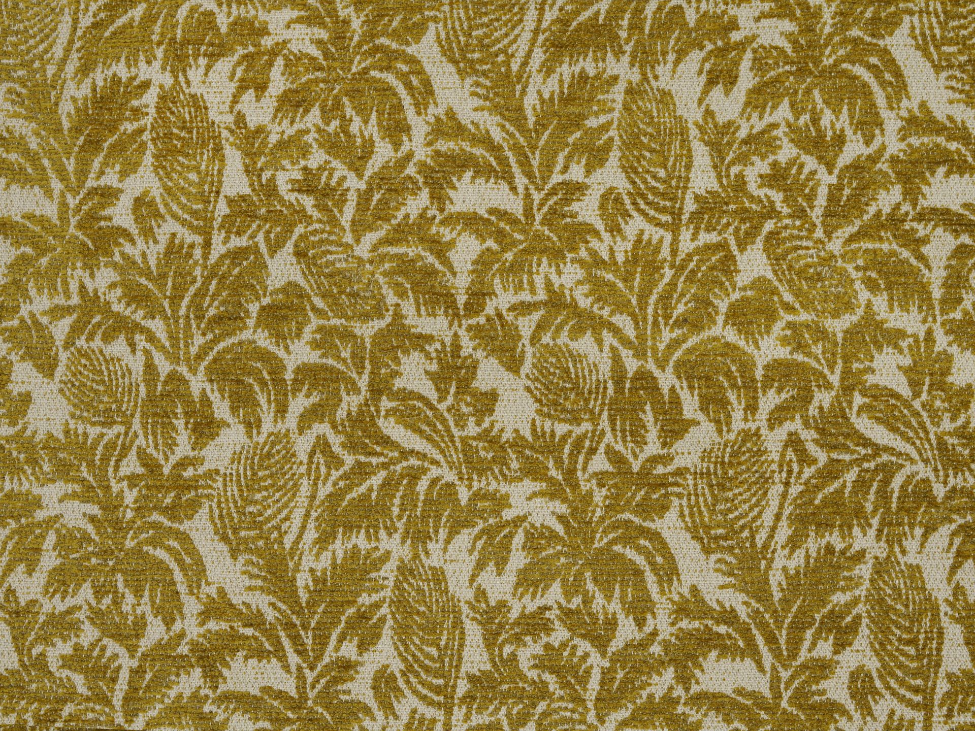 Jim Thompson Parlor Palms 