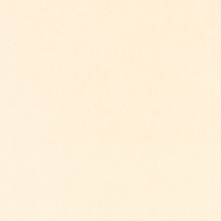 Mark Alexander Plush Mark Alexander Plush