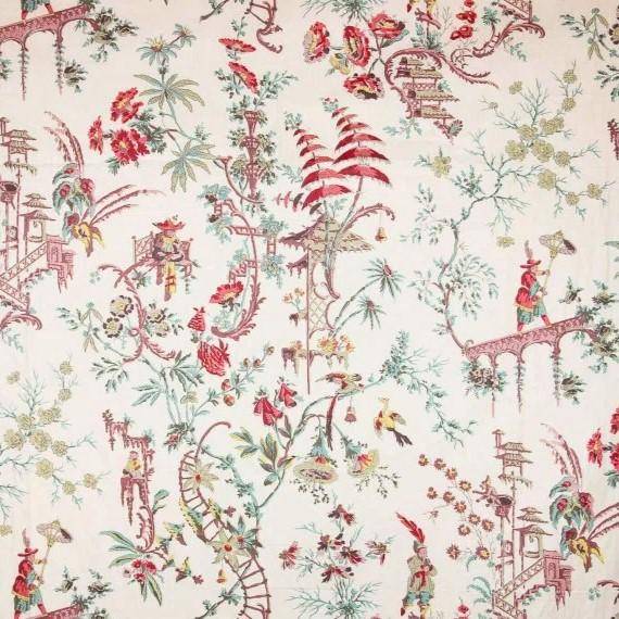 Braquenie Cochinchine  