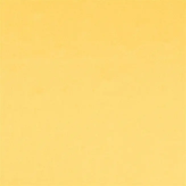 Maize