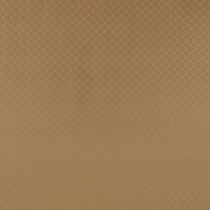 Gazelle