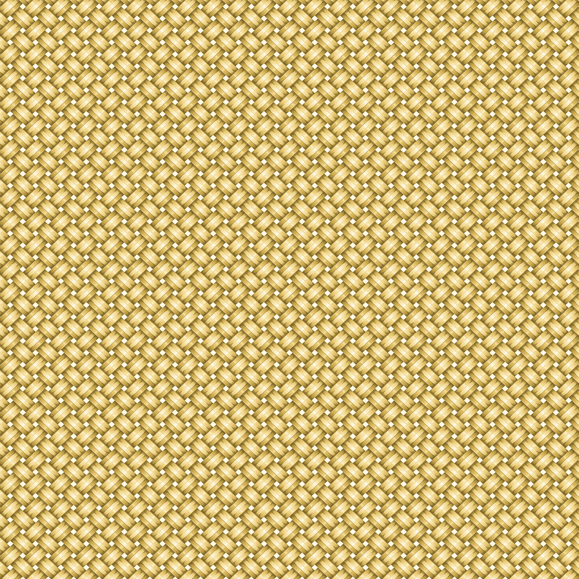 Paja