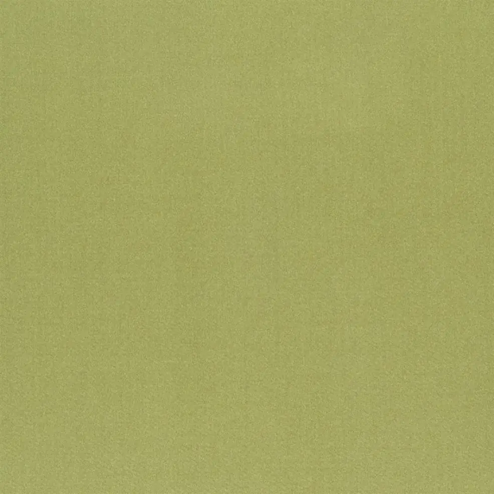 Pistachio