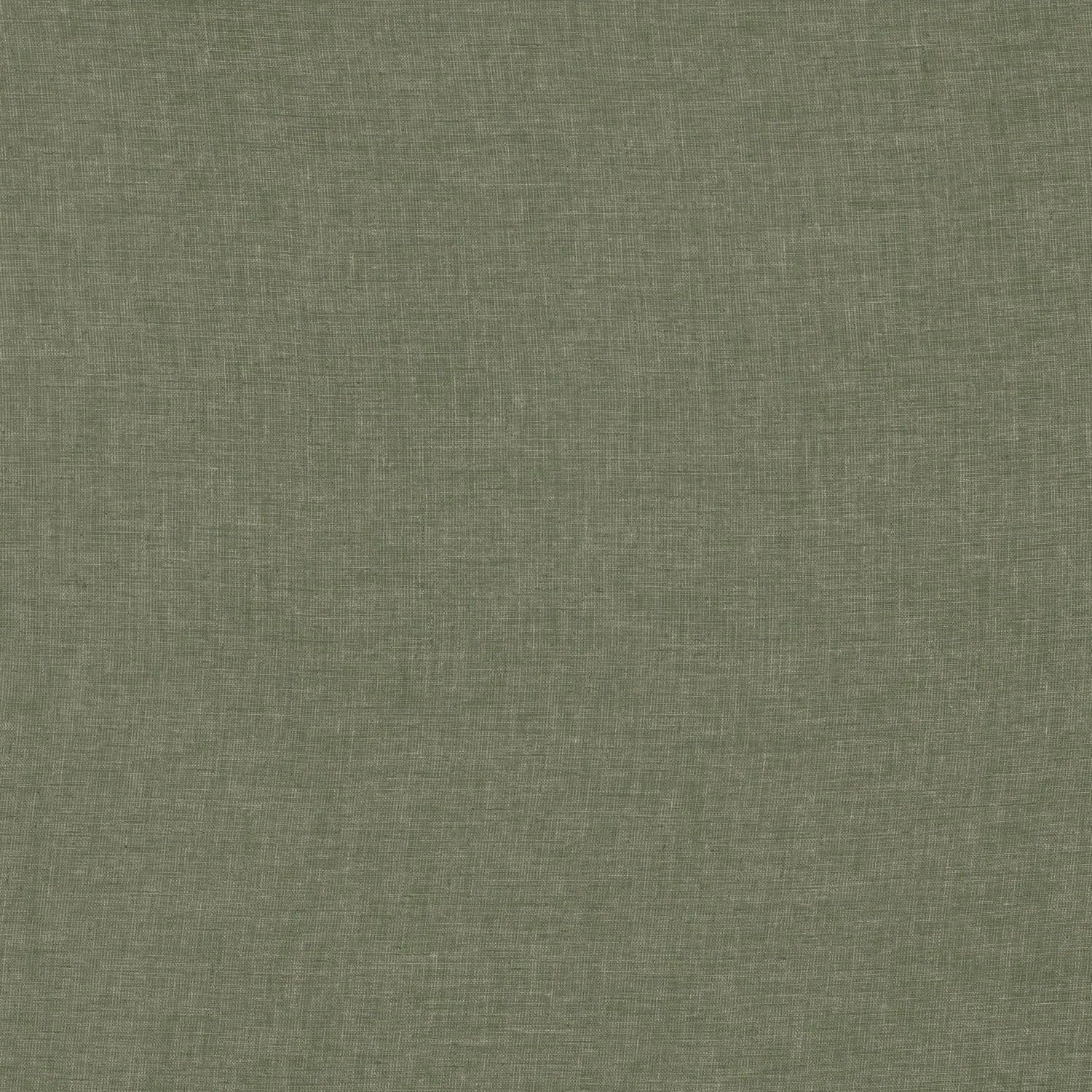 Vert Olive
