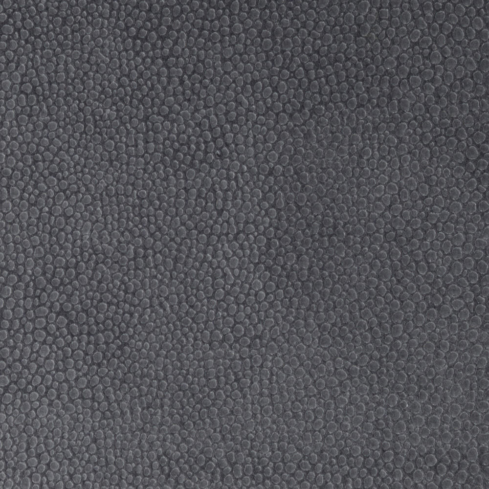 Métaphores Shagreen