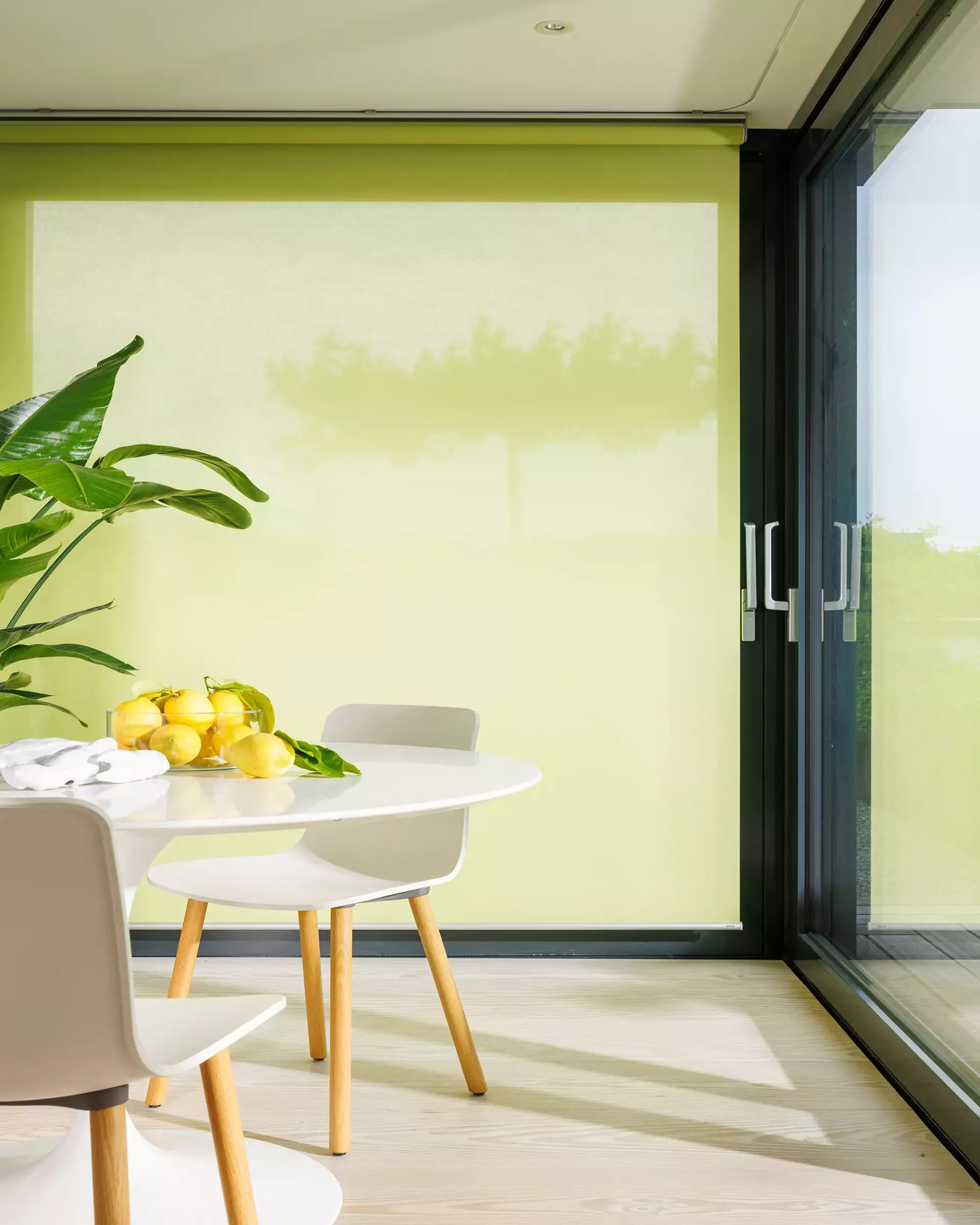 Création Baumann Basic V Un R