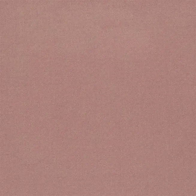 Pale Rose