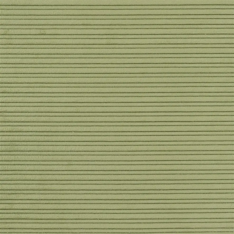 Designers Guild Repino