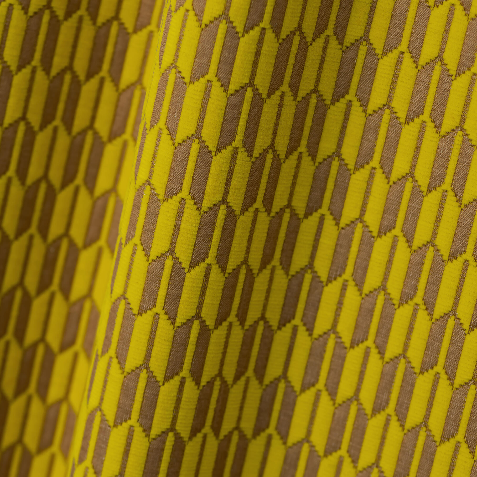 Mimosa