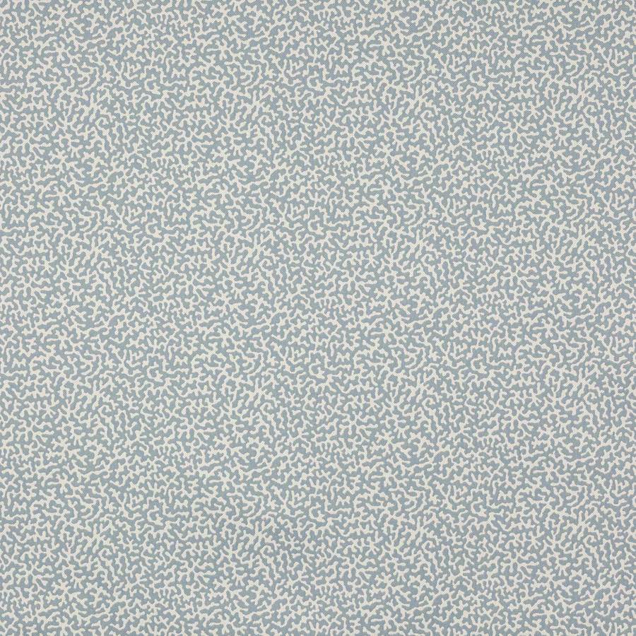 Manuel Canovas Apolline