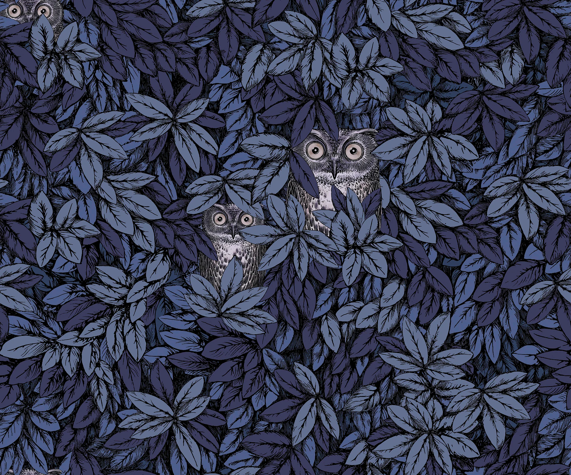 Midnight