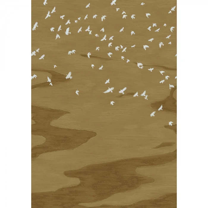 Casamance Migration