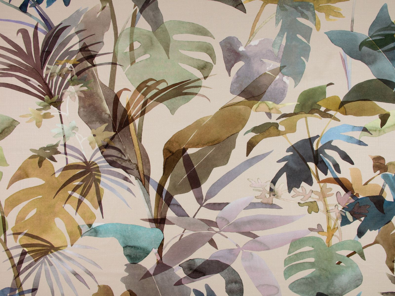 Zimmer + Rohde Paradiso