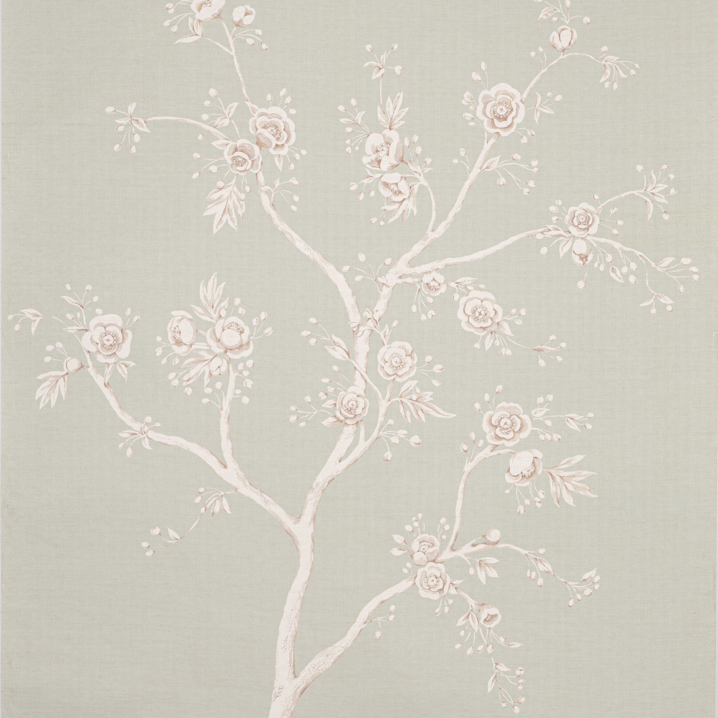 Celadon