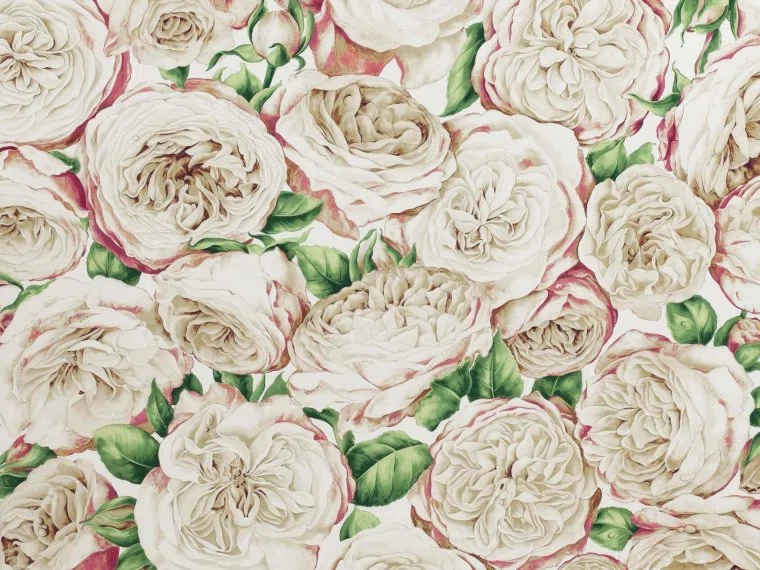 Pierre Frey Roses anciennes