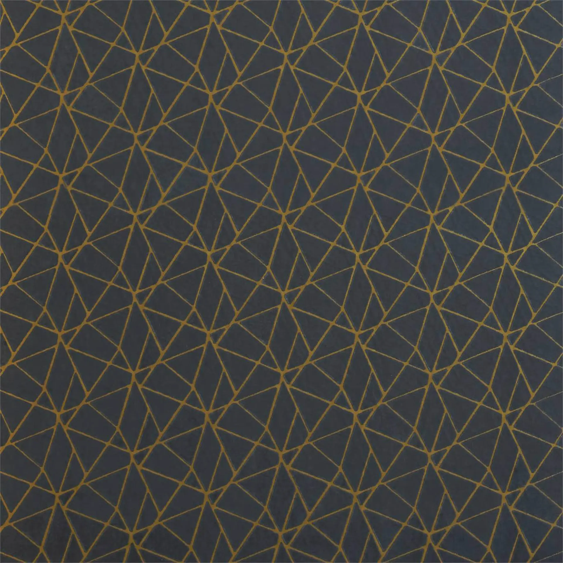 Harlequin Zola