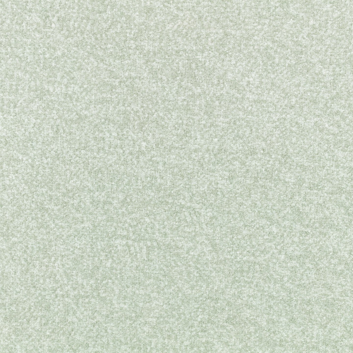 Foam