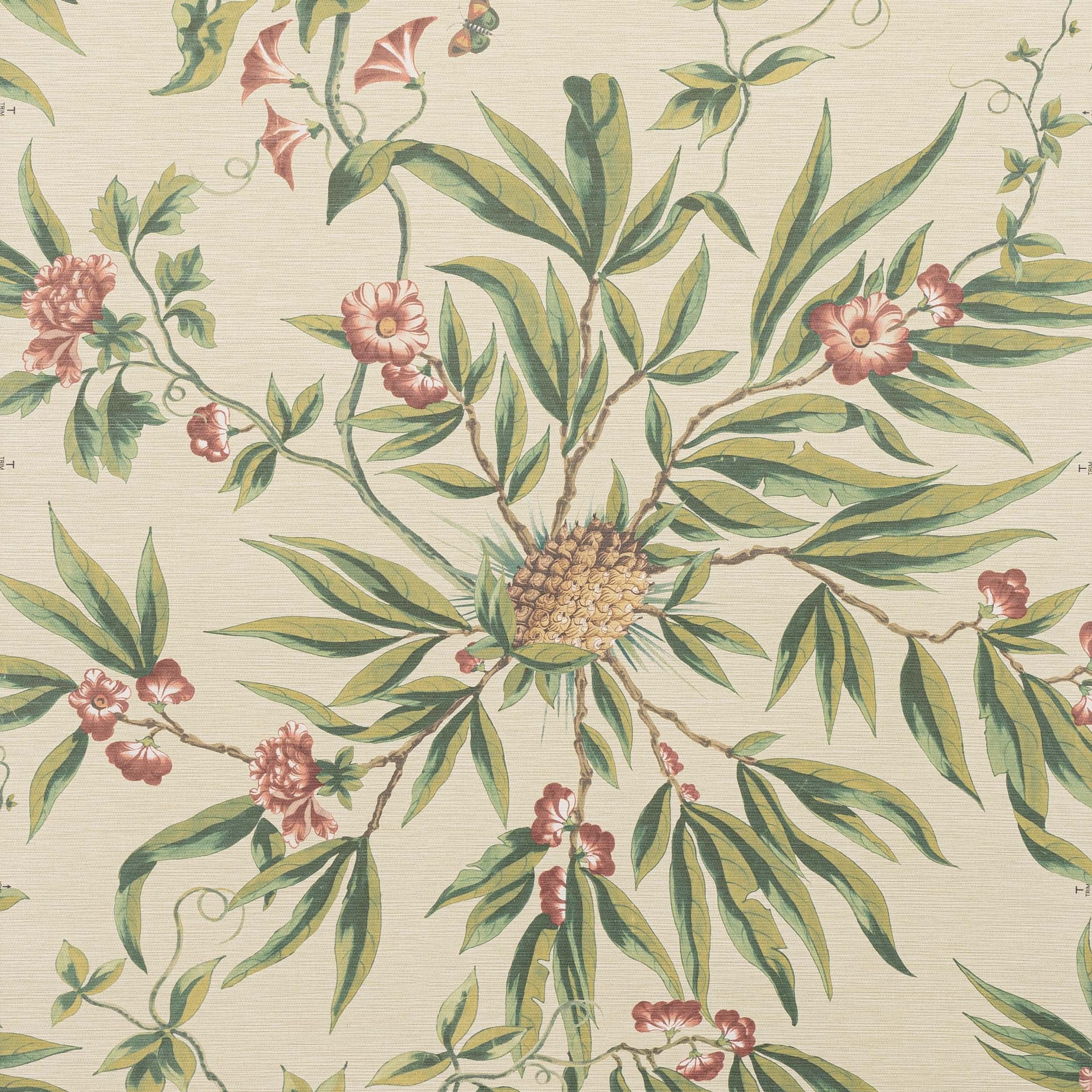 Manuel Canovas Opoa Manuel Canovas Opoa