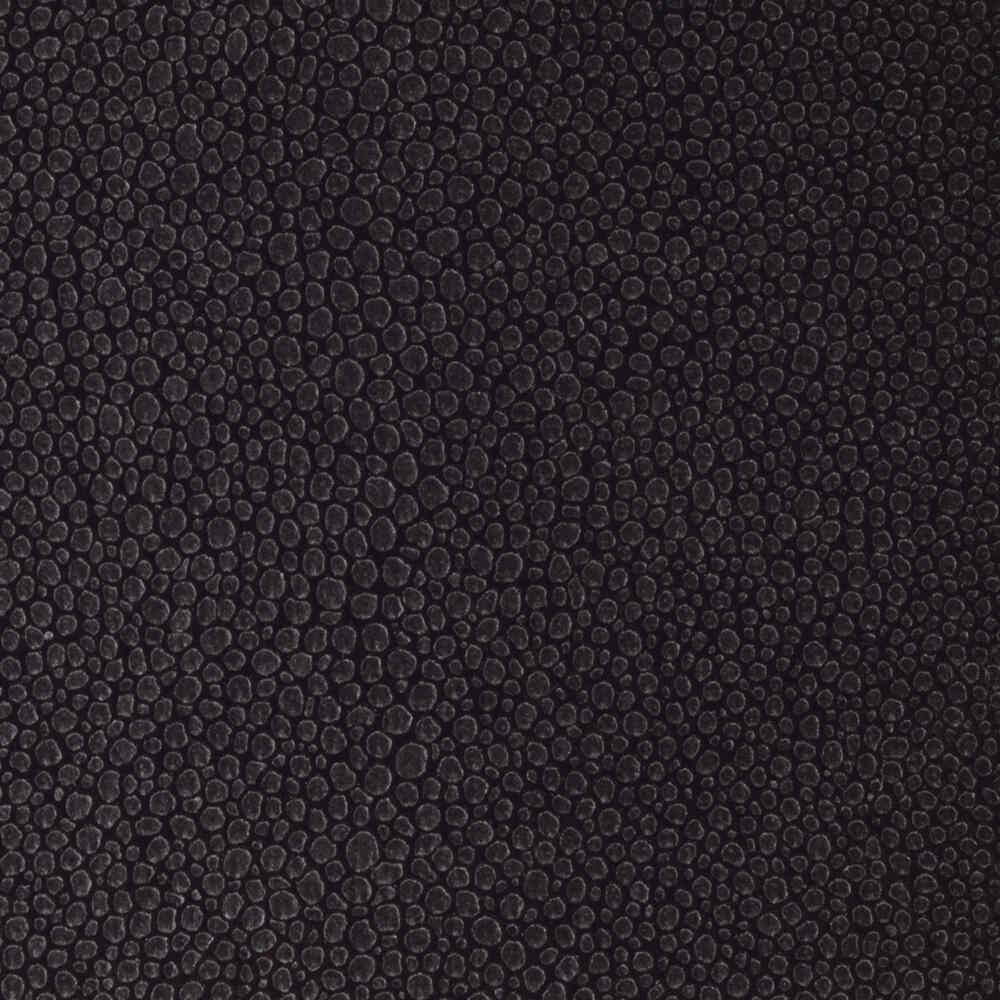 Métaphores Shagreen