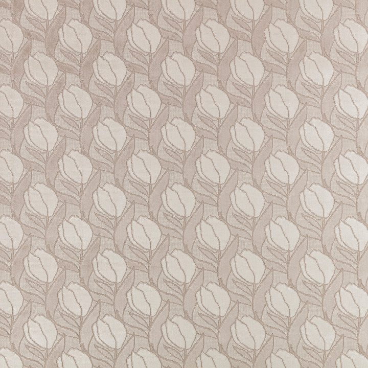 Parchment