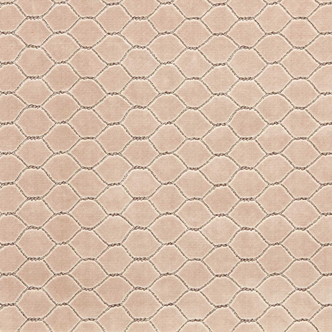 Sanderson Faraday Velvet