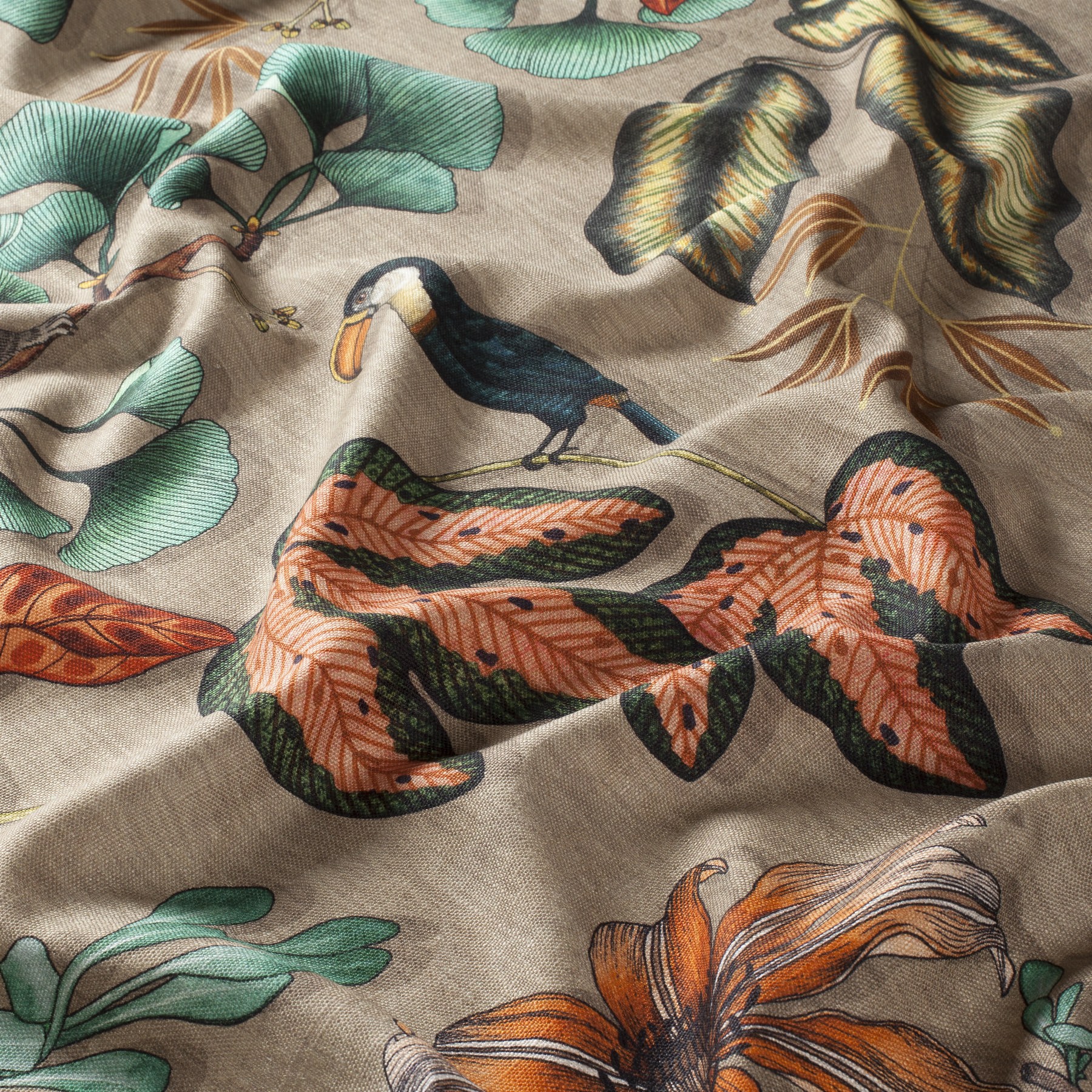 Chivasso Fantastic Madagascar