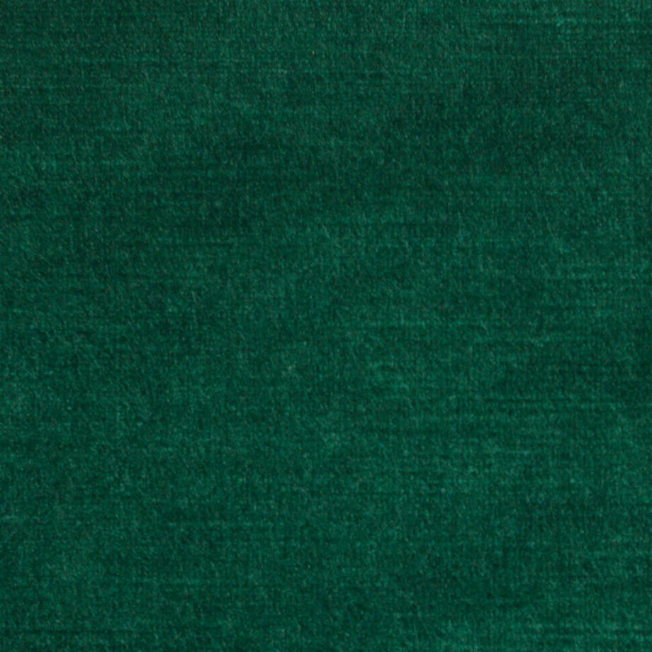 Chlorophylle