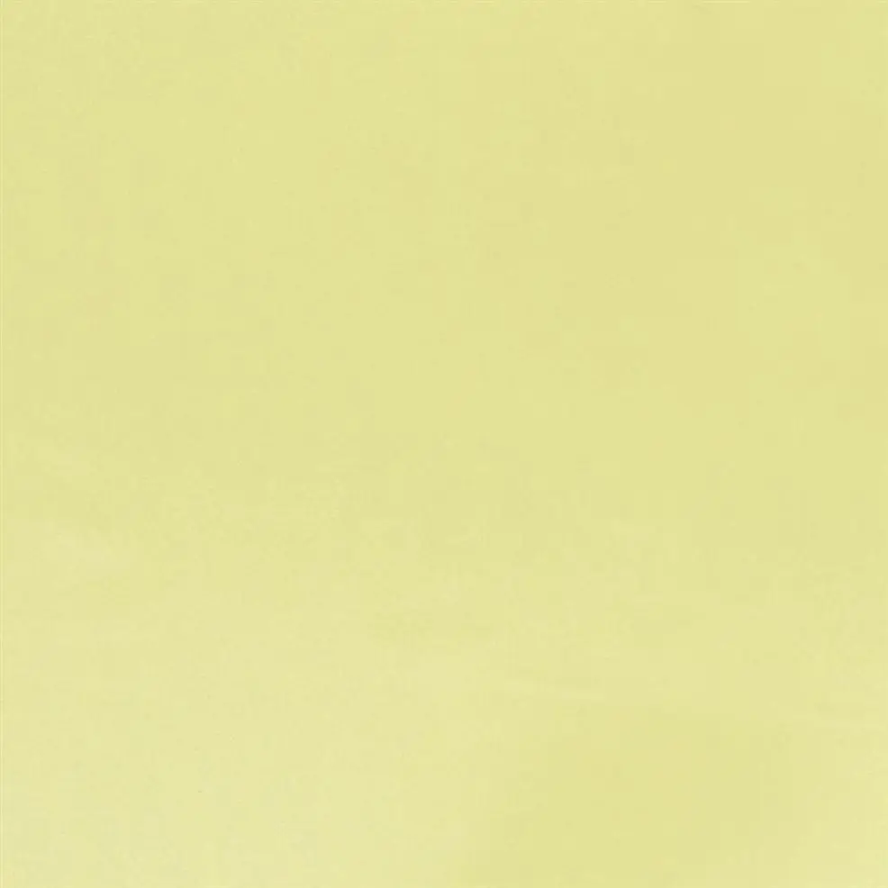 Alchemilla