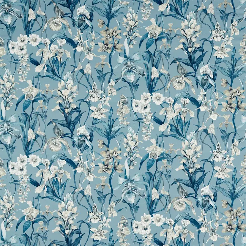 Celestial/Murmuration