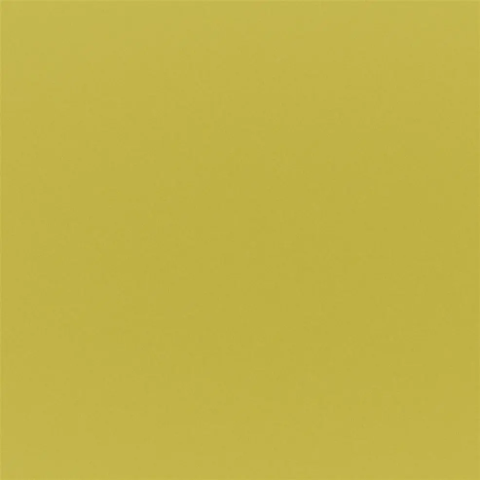 Acacia