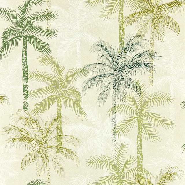 Palm