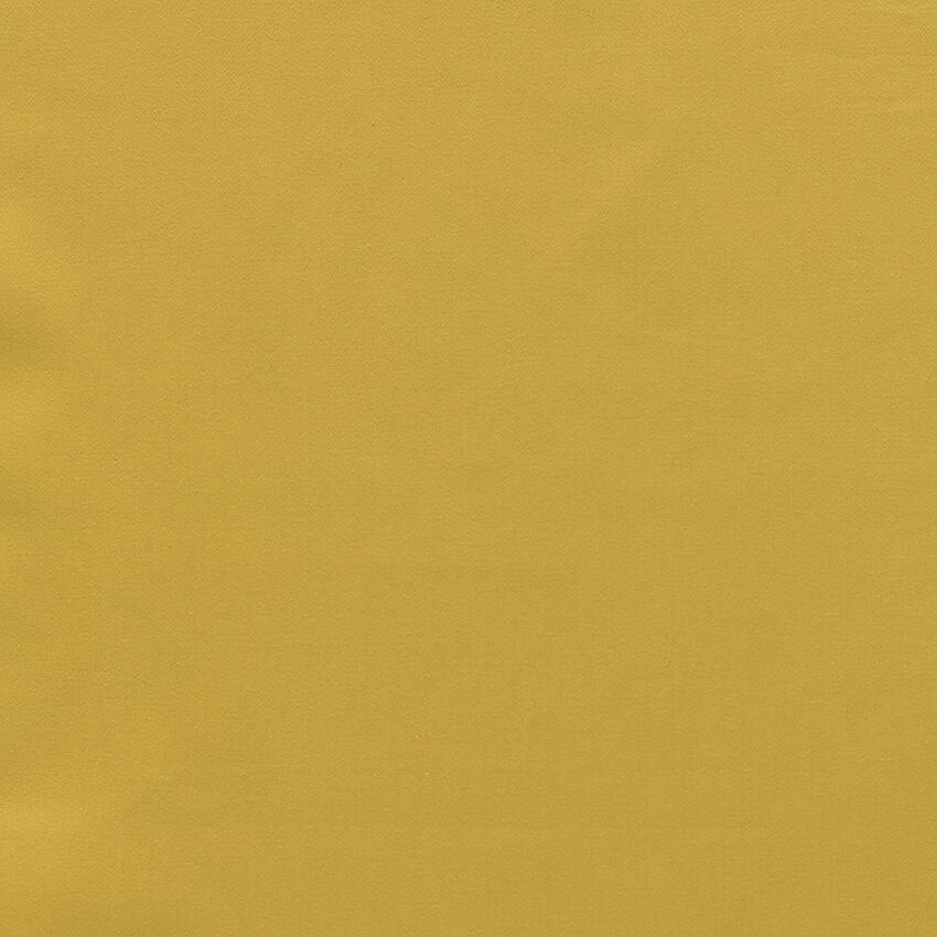 Curry