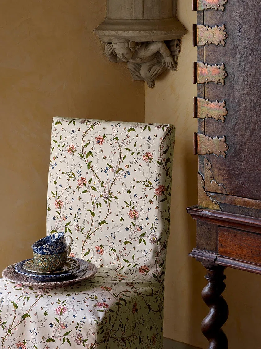 Braquenie Madame de polignac