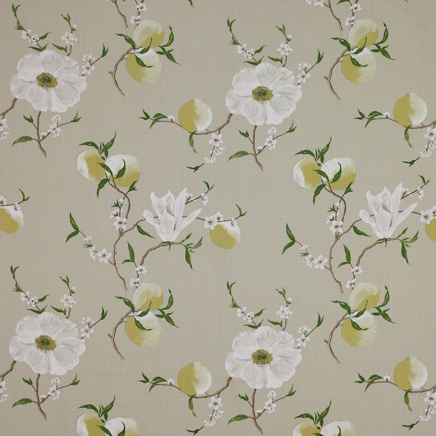 Manuel Canovas Guermantes  