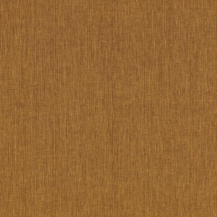 Ambre