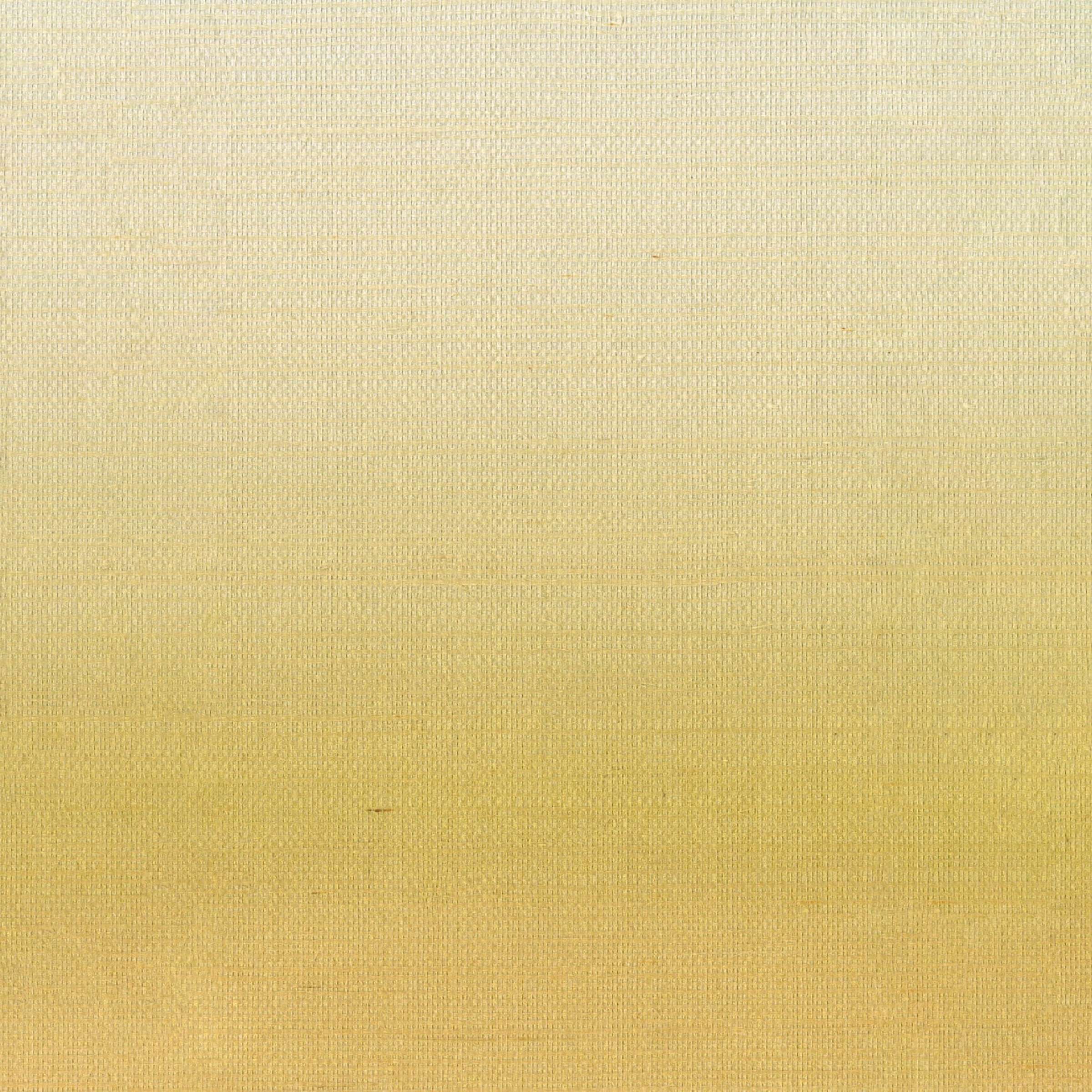 Darder ses premiers rayons