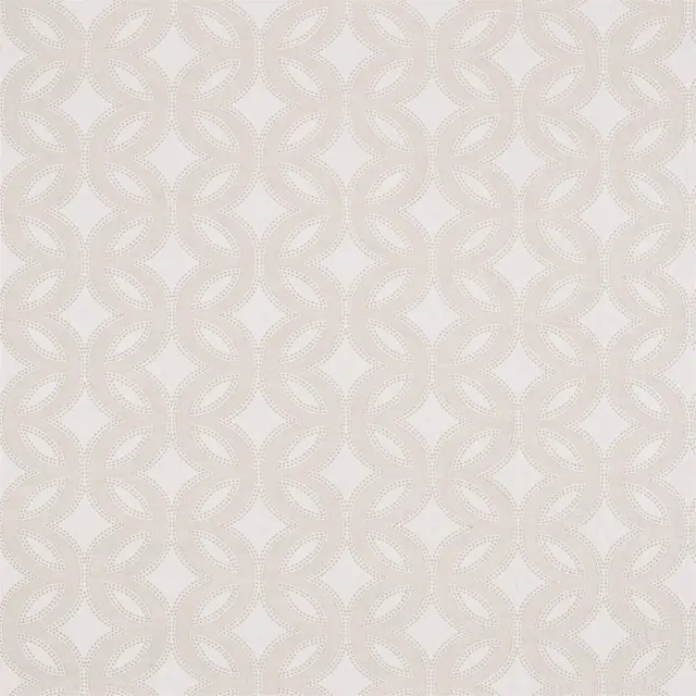 Harlequin Caprice 