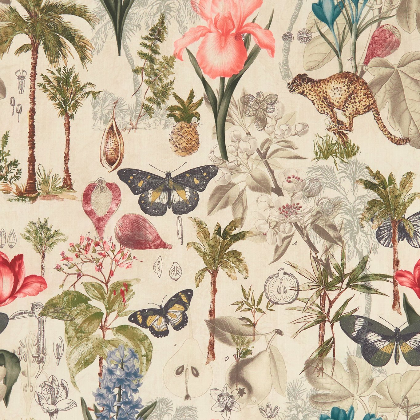 Clarke & Clarke Botany