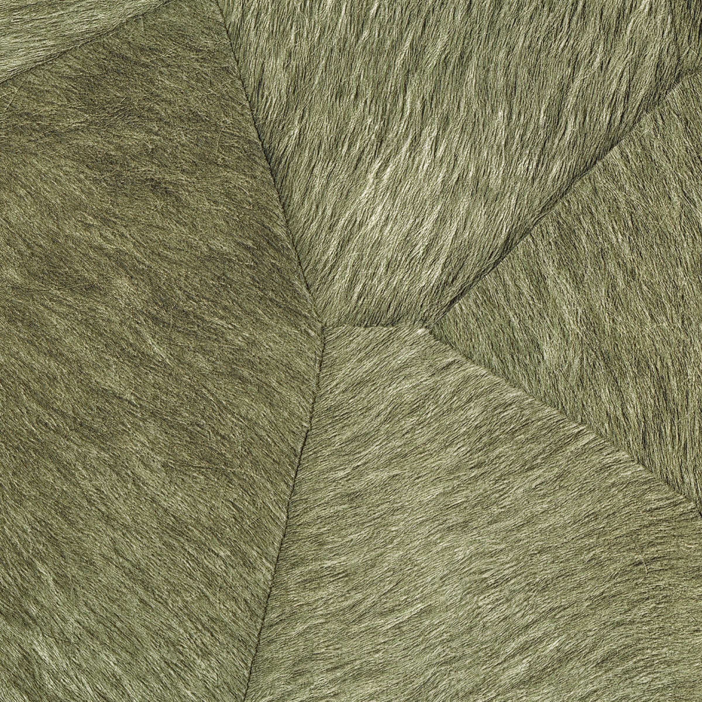 Aux sources de l'humanité