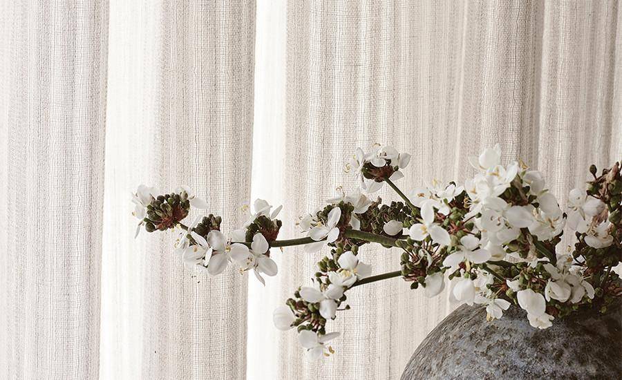 Mark Alexander Solitude Mark Alexander Solitude